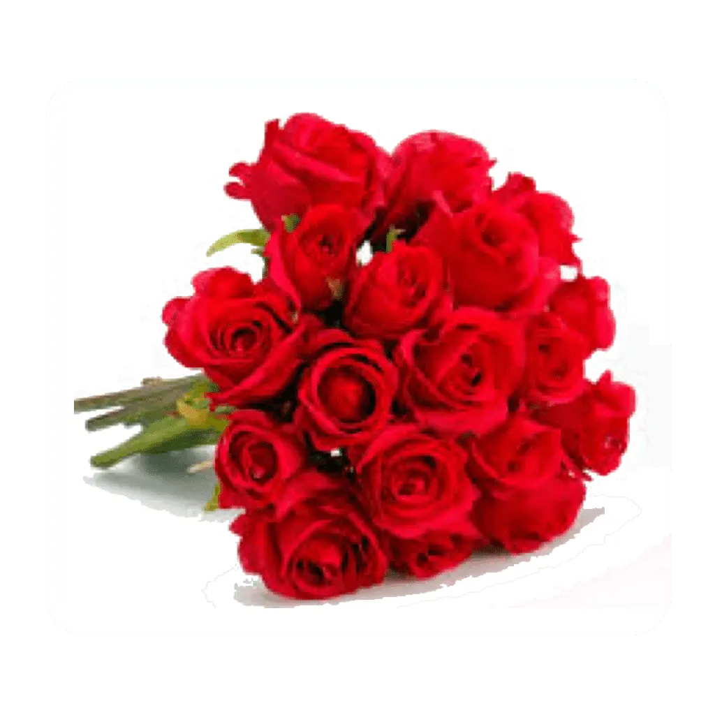 Bouquet de roses rouges